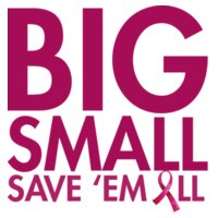 Big Small Save 'Em All - Unisex Short-sleeve T-shirt 140g High quality DTG Design
