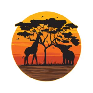 Elephant and Giraffe Sunset - Junior Short-sleeve T-shirt Design
