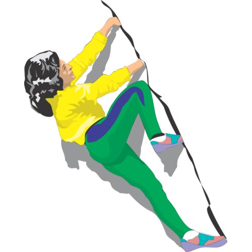 CLIMBFEM Thumbnail