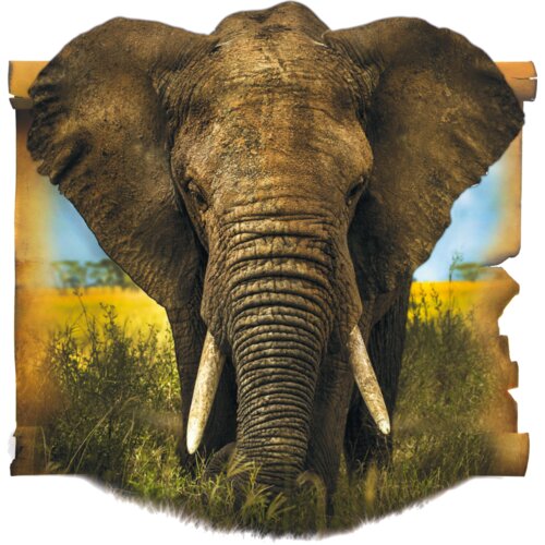 Elephant Thumbnail